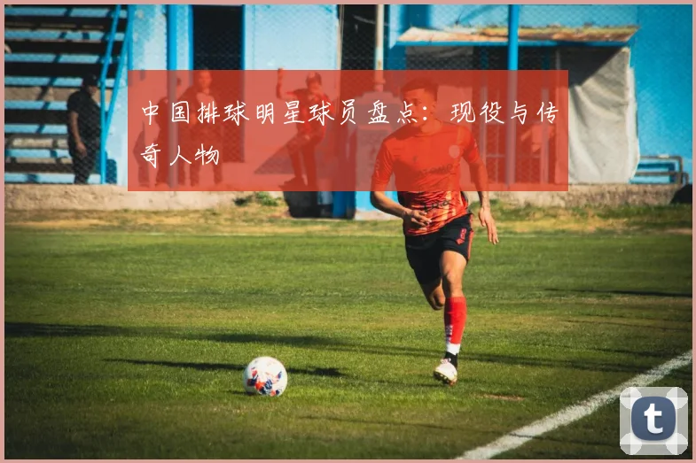 中国排球明星球员盘点：现役与传奇人物
