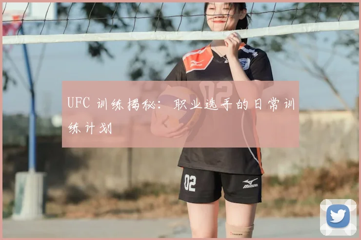 UFC 训练揭秘：职业选手的日常训练计划