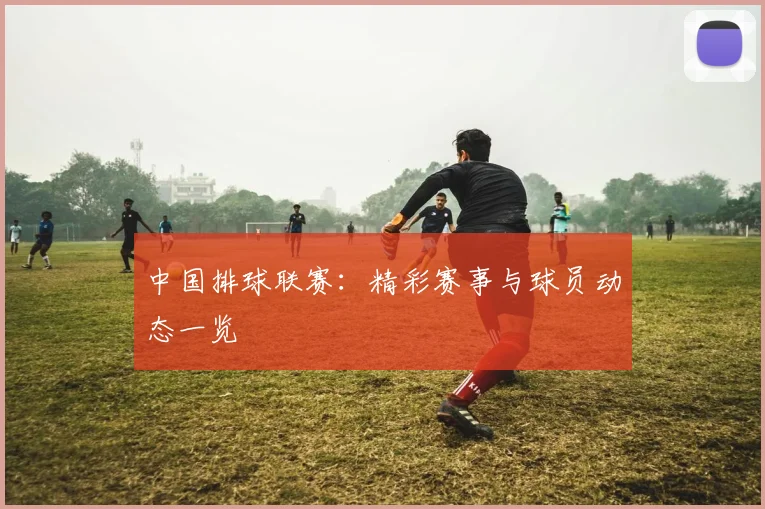 中国排球联赛：精彩赛事与球员动态一览