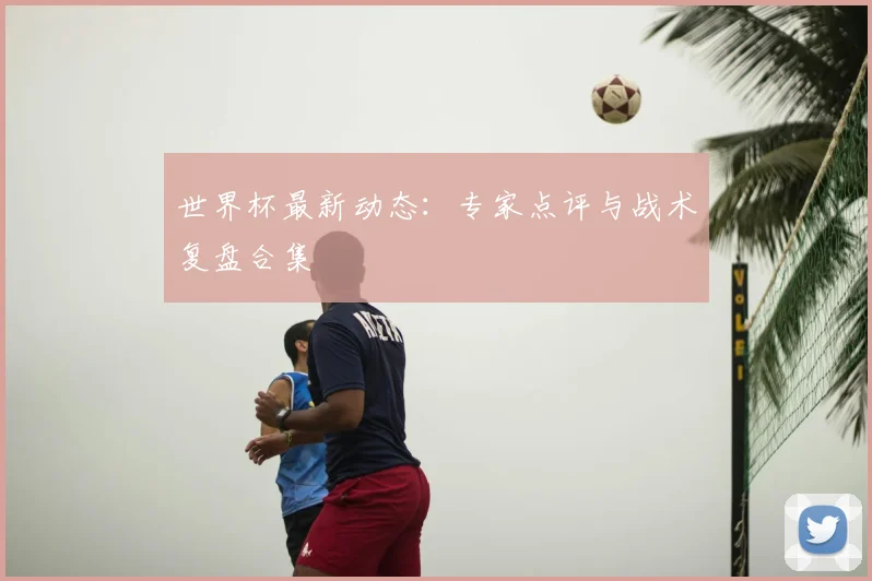 世界杯最新动态：专家点评与战术复盘合集