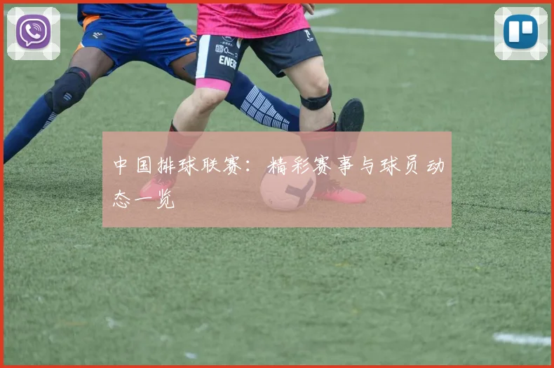 中国排球联赛：精彩赛事与球员动态一览